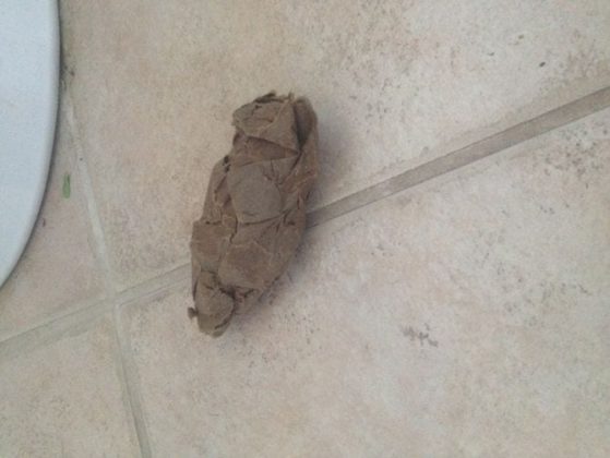 Make Believe Number 2 Toilet Tube Made into Fake Poo
